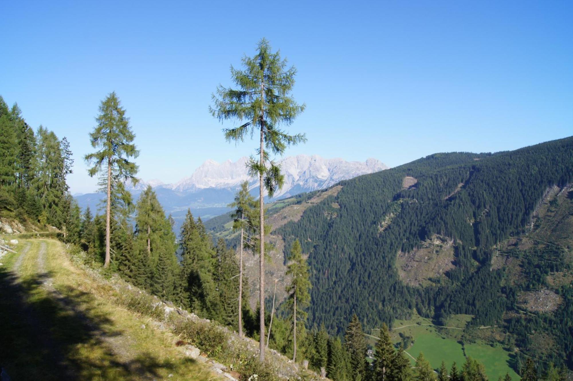 Waldhaus Ahornau Chalet Schladming